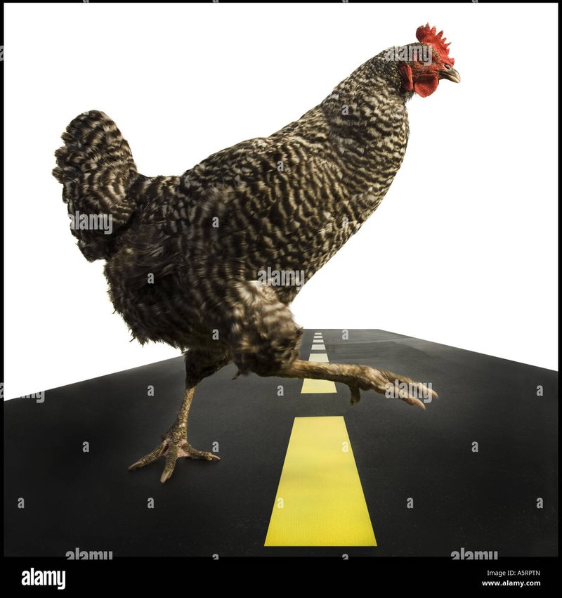 Image: Conoce los Secretos y Beneficios de Jugar en la Ruta del Pollo en España