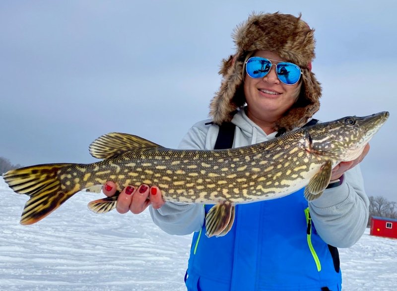 Guide to ice fishing game